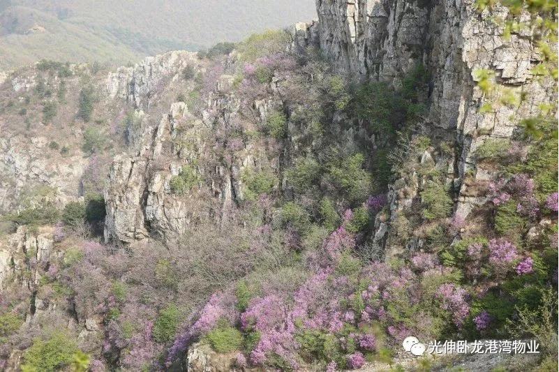 Z6尊龙旗舰厅(中国)官方网站