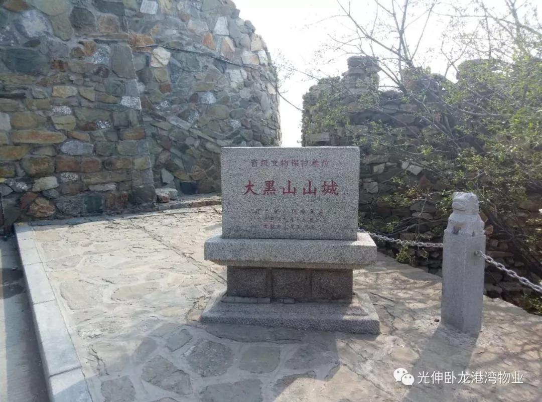 Z6尊龙旗舰厅(中国)官方网站