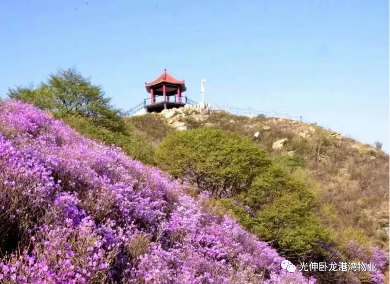 Z6尊龙旗舰厅(中国)官方网站