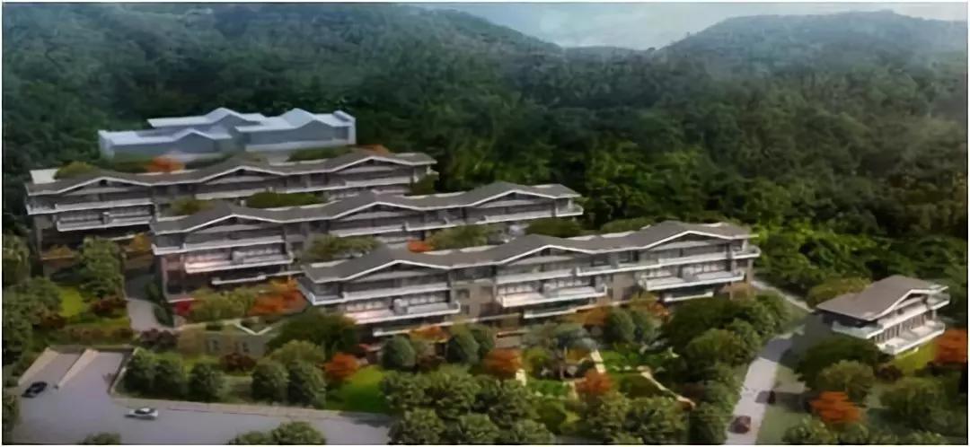 Z6尊龙旗舰厅(中国)官方网站