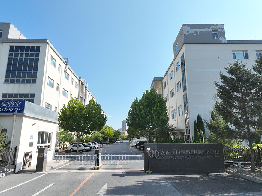 大连Z6尊龙旗舰厅企业集团